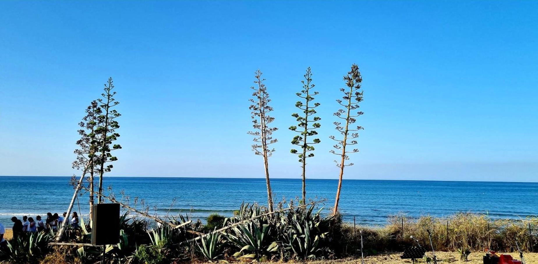 Casa Vacanza Nonna Nena Porto Empedocle Exterior foto